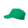 Gorra Brauner.1