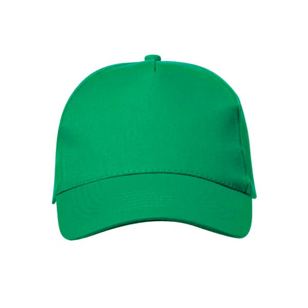 Gorra Brauner.2