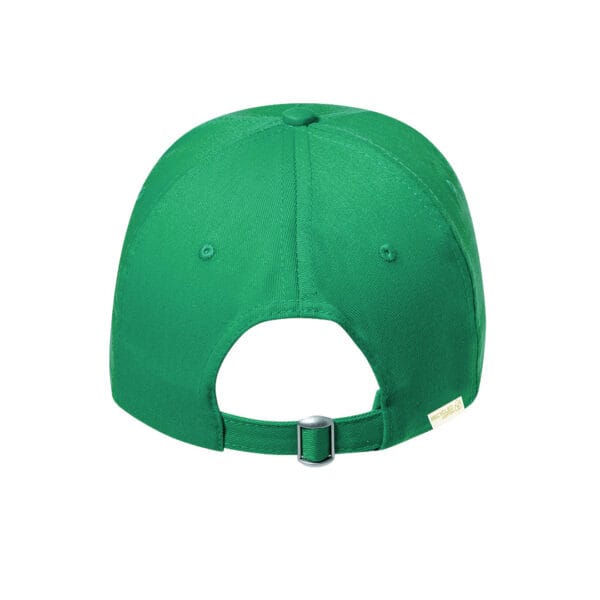 Gorra Brauner.3